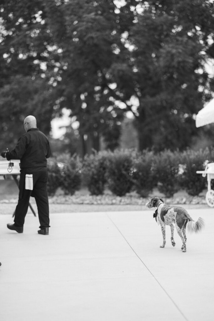 Black-and-white candid of the couple’s dog wearing a formal bow tie walking near the catering team during an outdoor wedding reception at The Wells Estate.